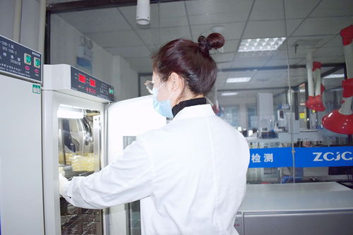 鄭州食品檢測 專業(yè)機(jī)構(gòu)、服務(wù)體系與公眾守護(hù)